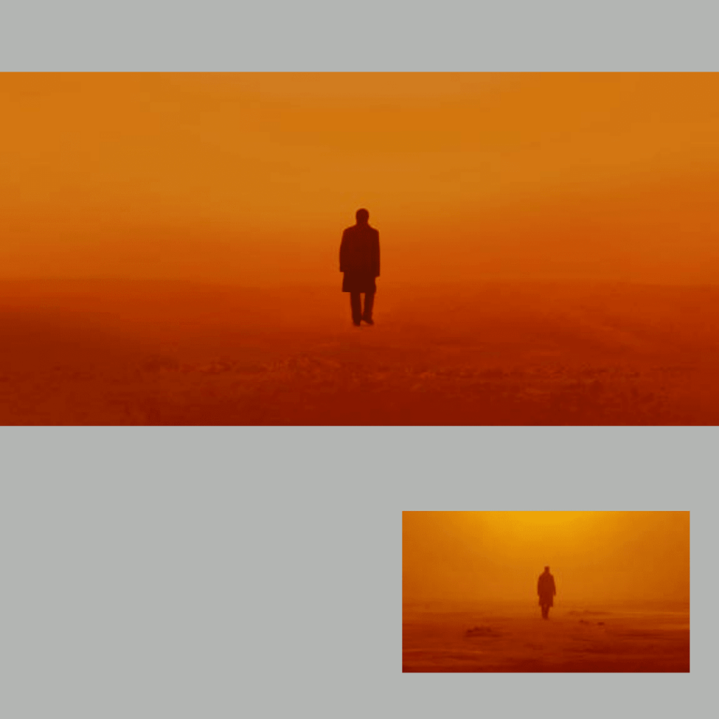 Obra de Diogo Sonoda