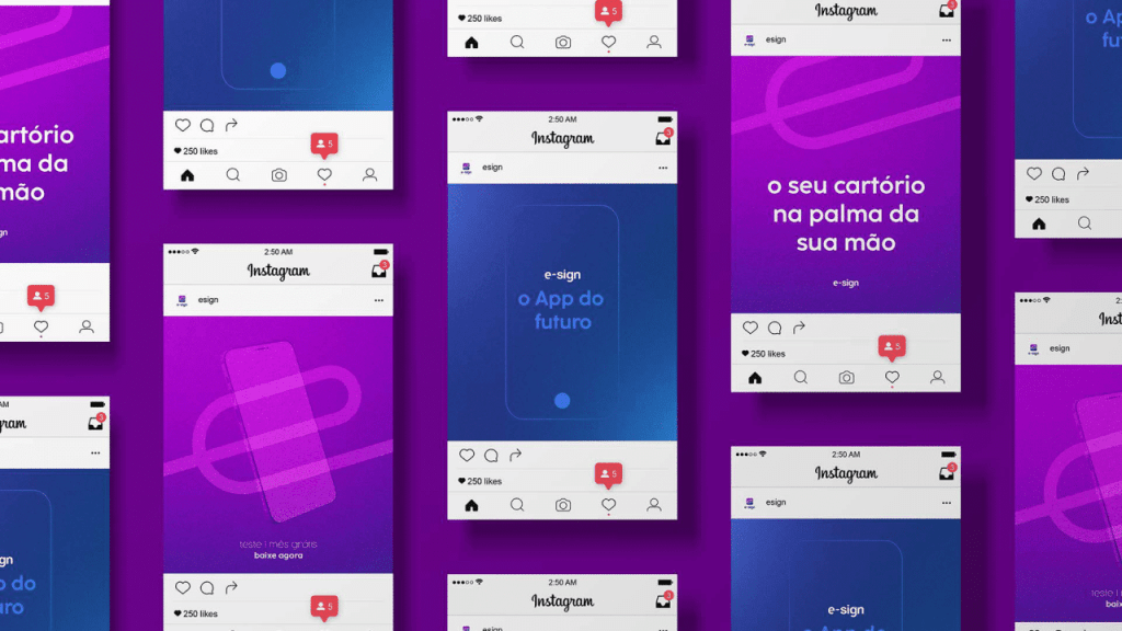 Obra de Julia Madeira