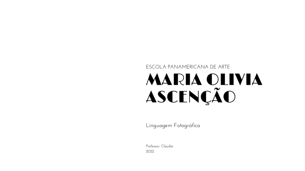 Obra de Maria Olivia Ascenção