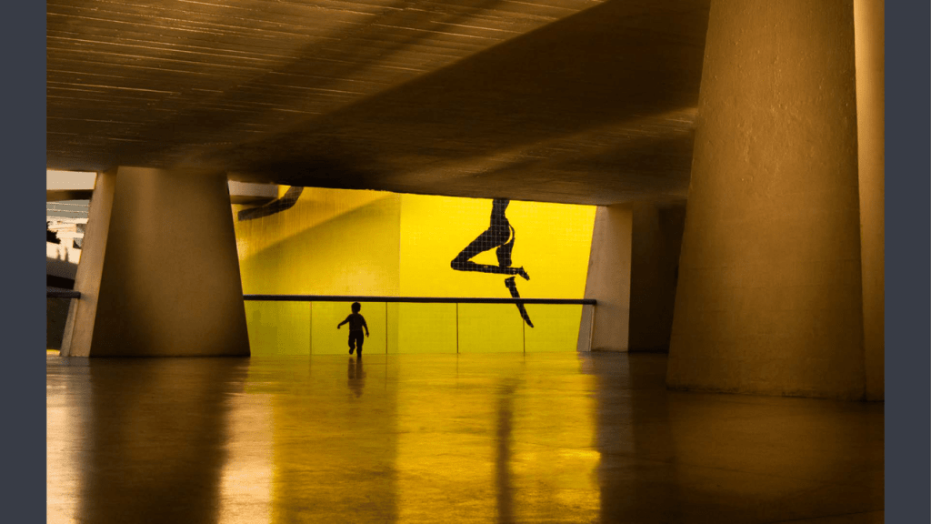 Obra de Mauricio Monteiro da Rocha