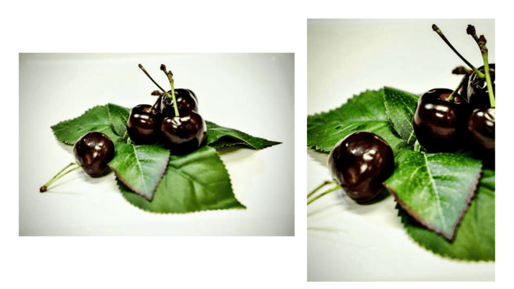 Obra de Miriam Ciocler 