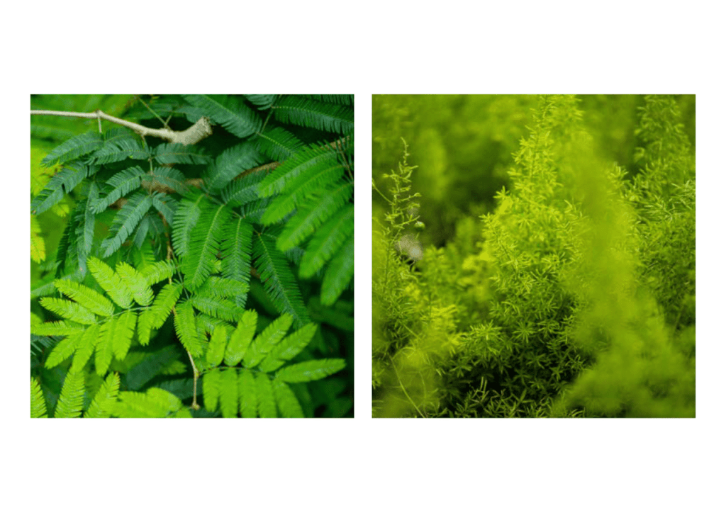 Obra de Miriam Ciocler 