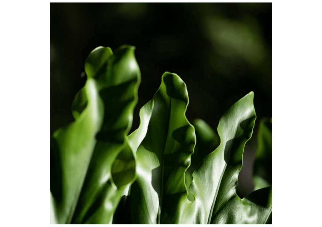 Obra de Miriam Ciocler 