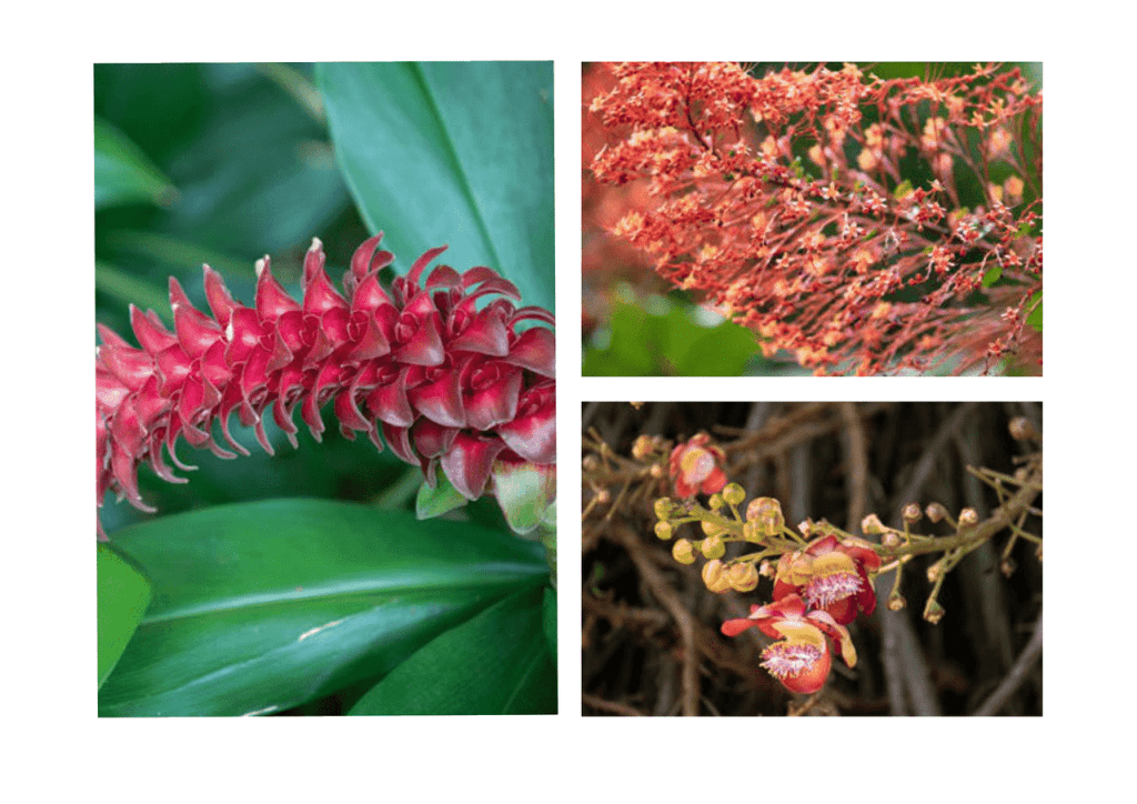 Obra de Miriam Ciocler 