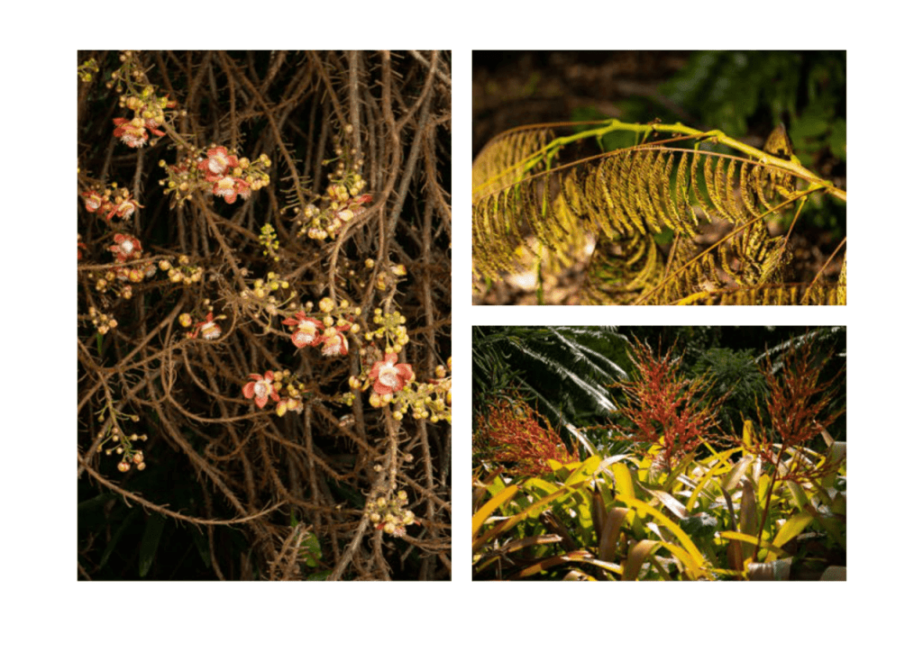 Obra de Miriam Ciocler 