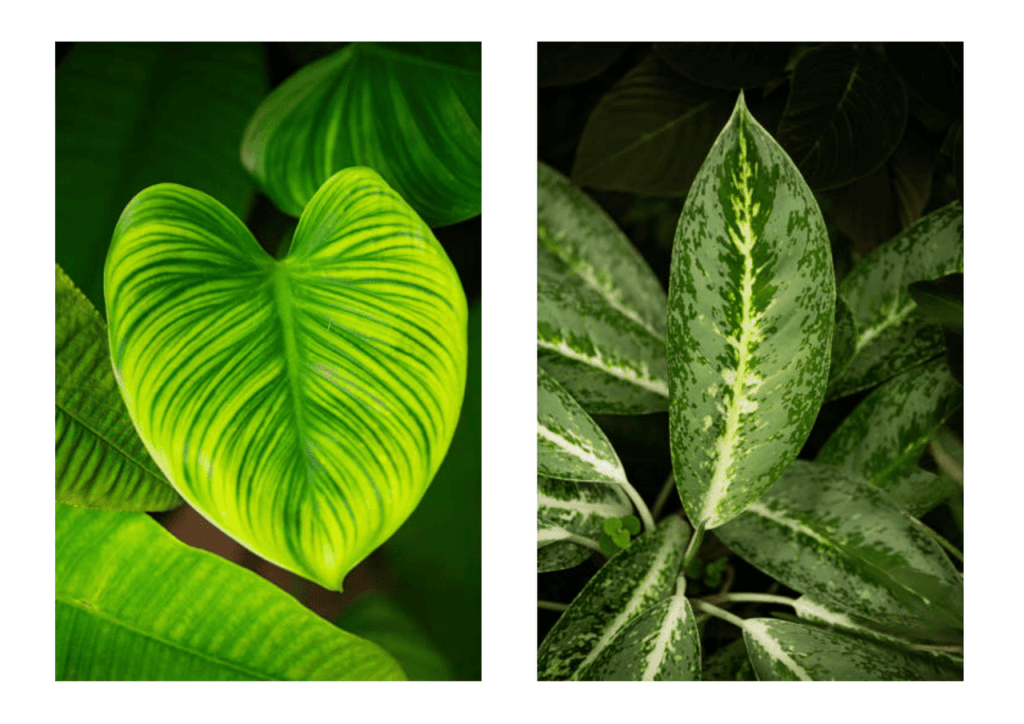 Obra de Miriam Ciocler 