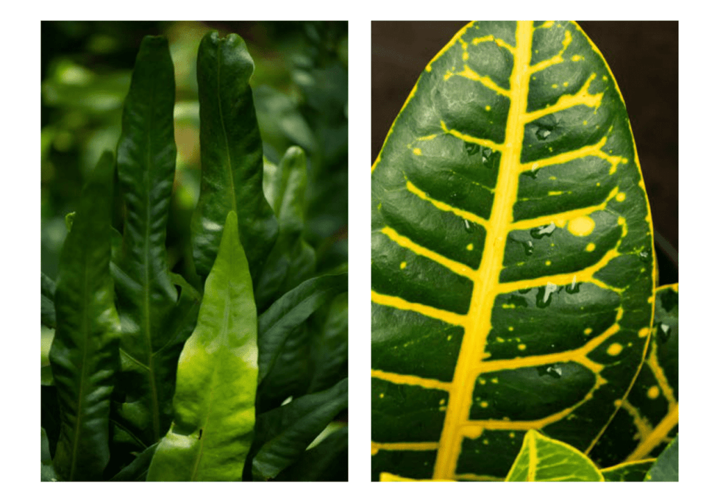 Obra de Miriam Ciocler 