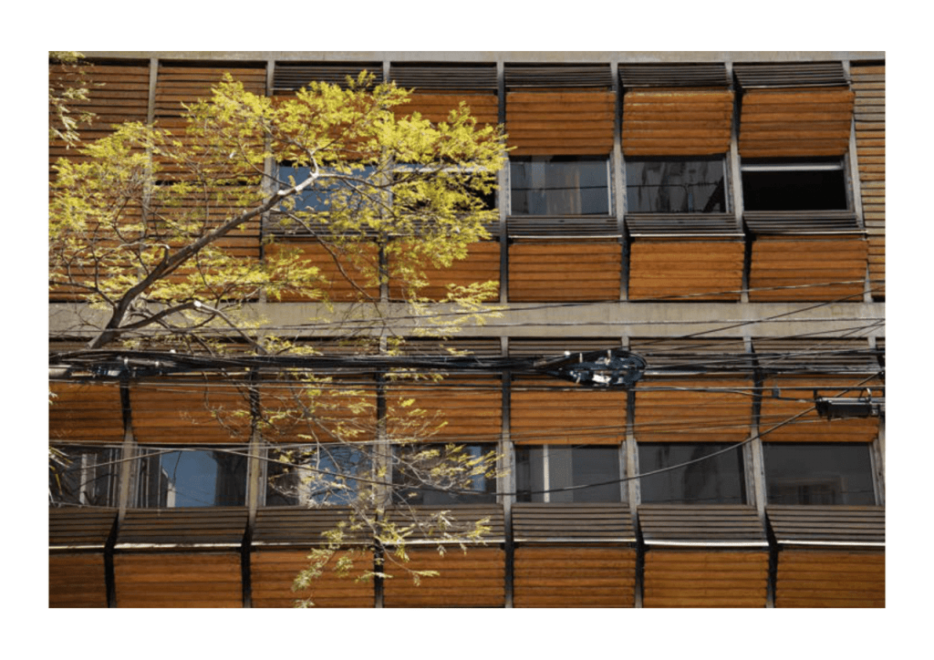 Obra de Miriam Ciocler 