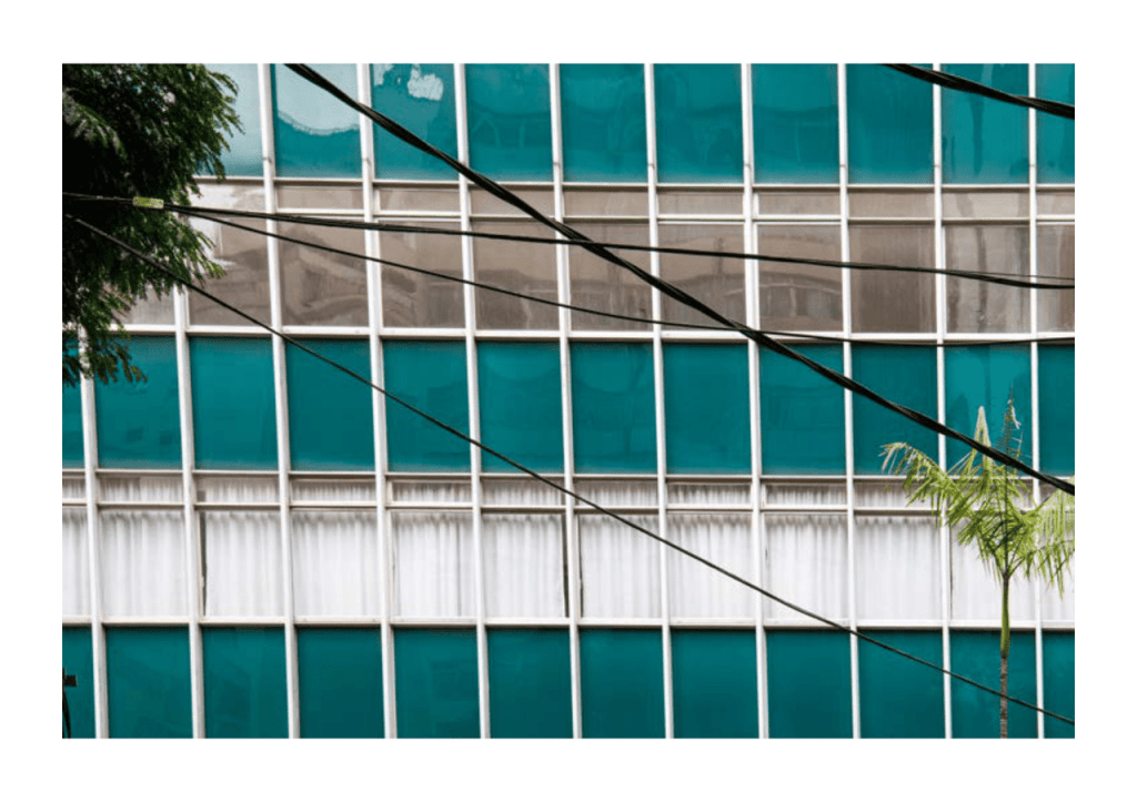 Obra de Miriam Ciocler 