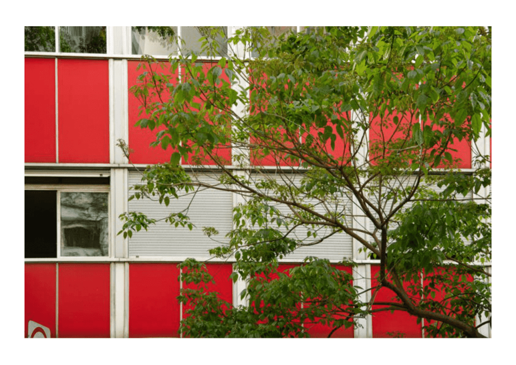 Obra de Miriam Ciocler 