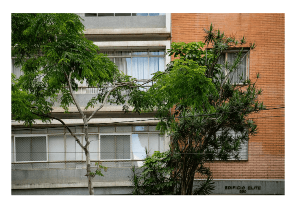 Obra de Miriam Ciocler 