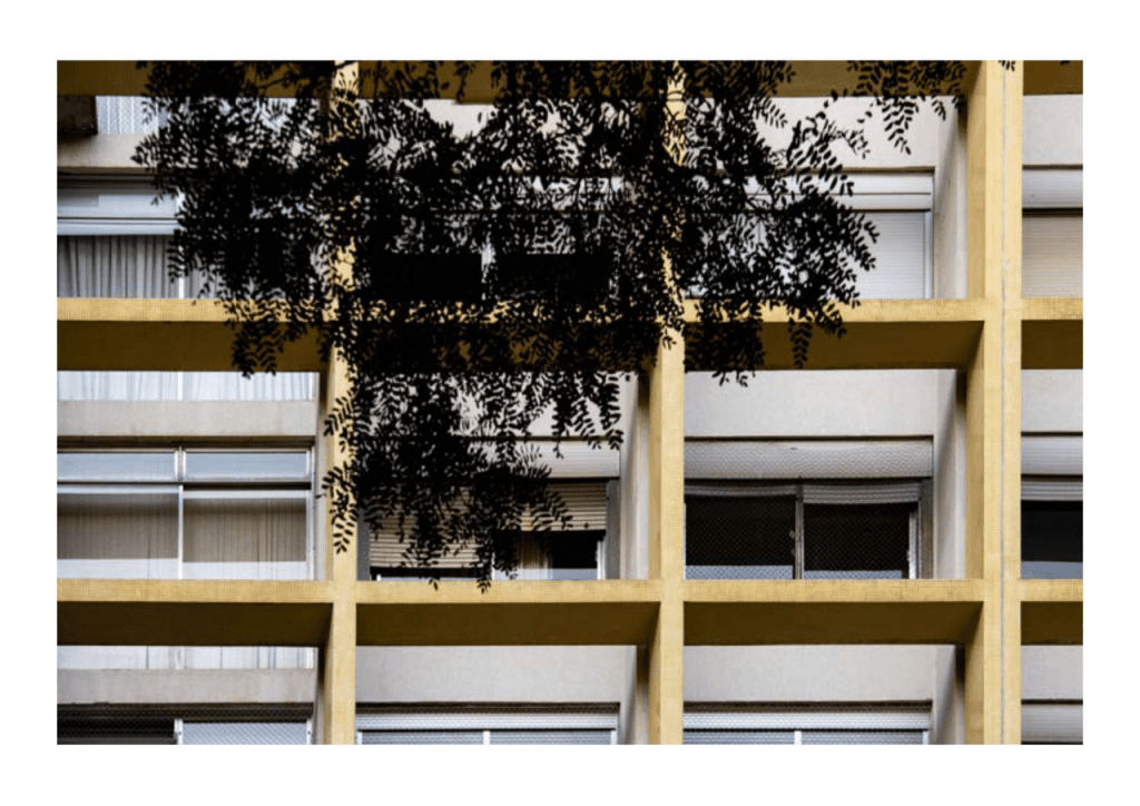 Obra de Miriam Ciocler 