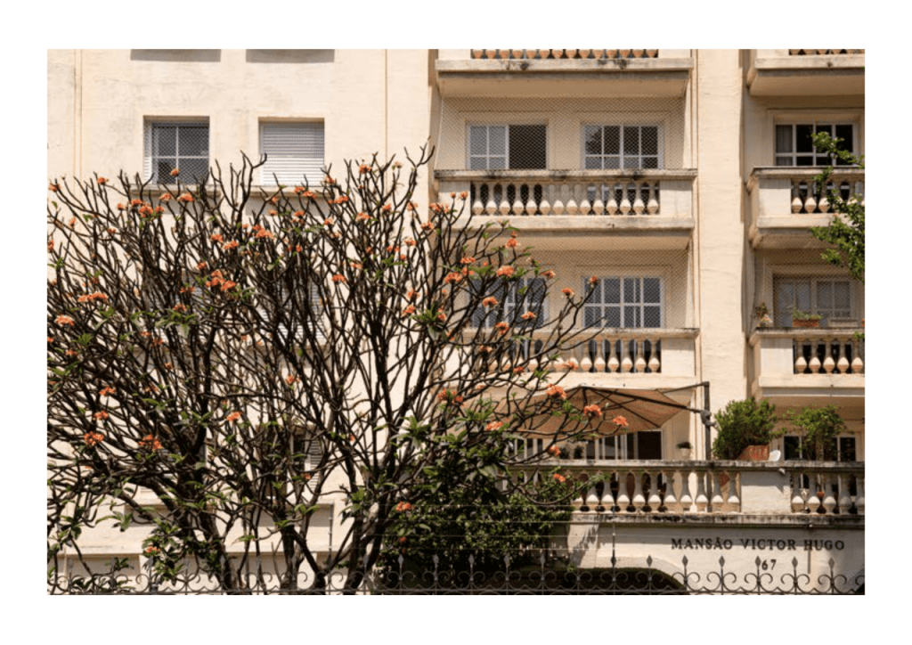 Obra de Miriam Ciocler 