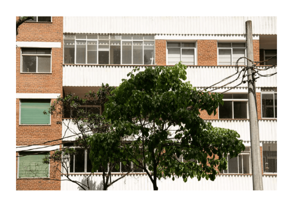 Obra de Miriam Ciocler 