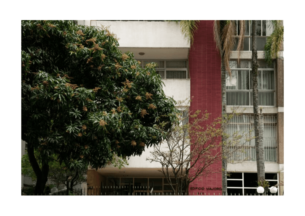 Obra de Miriam Ciocler 