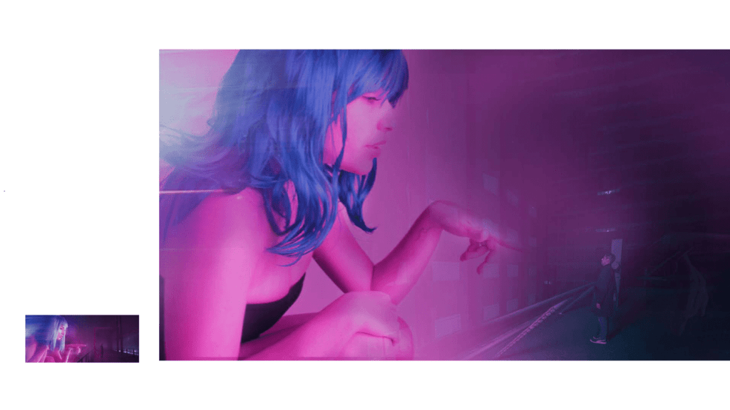 Obra de Moacir Nicodemos Marte