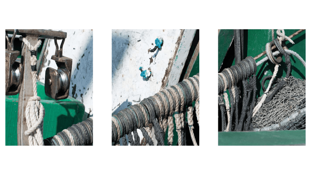 Obra de Moacir Nicodemos Marte