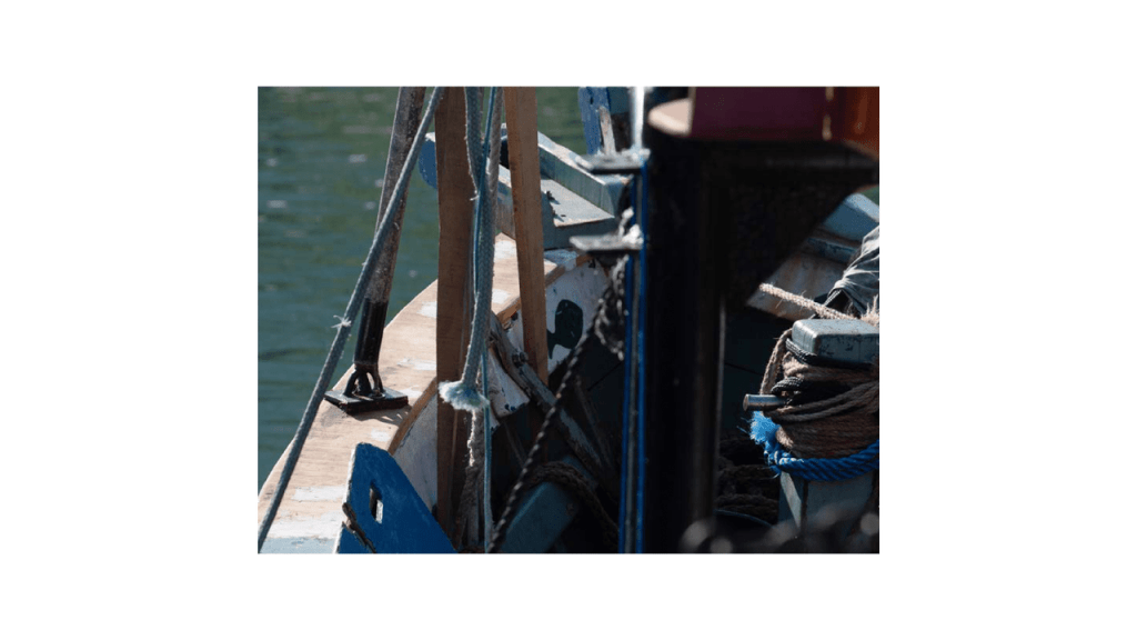 Obra de Moacir Nicodemos Marte