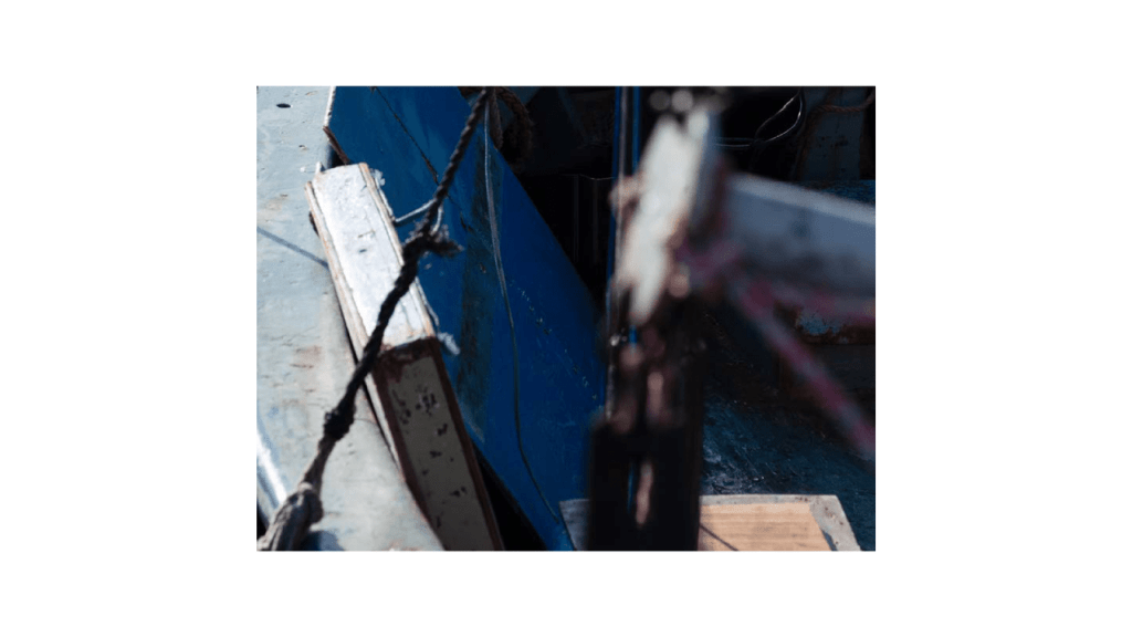 Obra de Moacir Nicodemos Marte