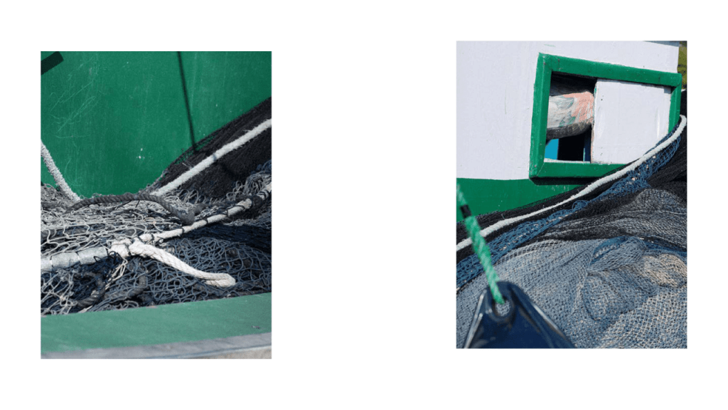 Obra de Moacir Nicodemos Marte