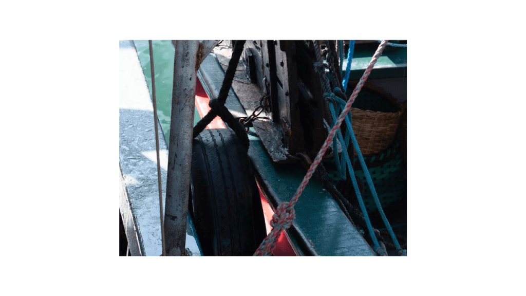 Obra de Moacir Nicodemos Marte