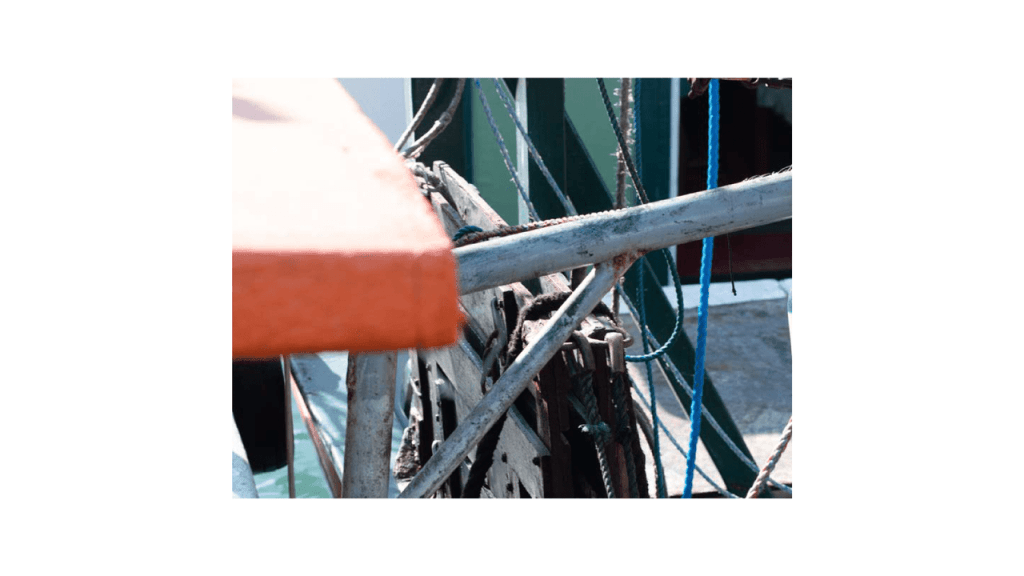 Obra de Moacir Nicodemos Marte