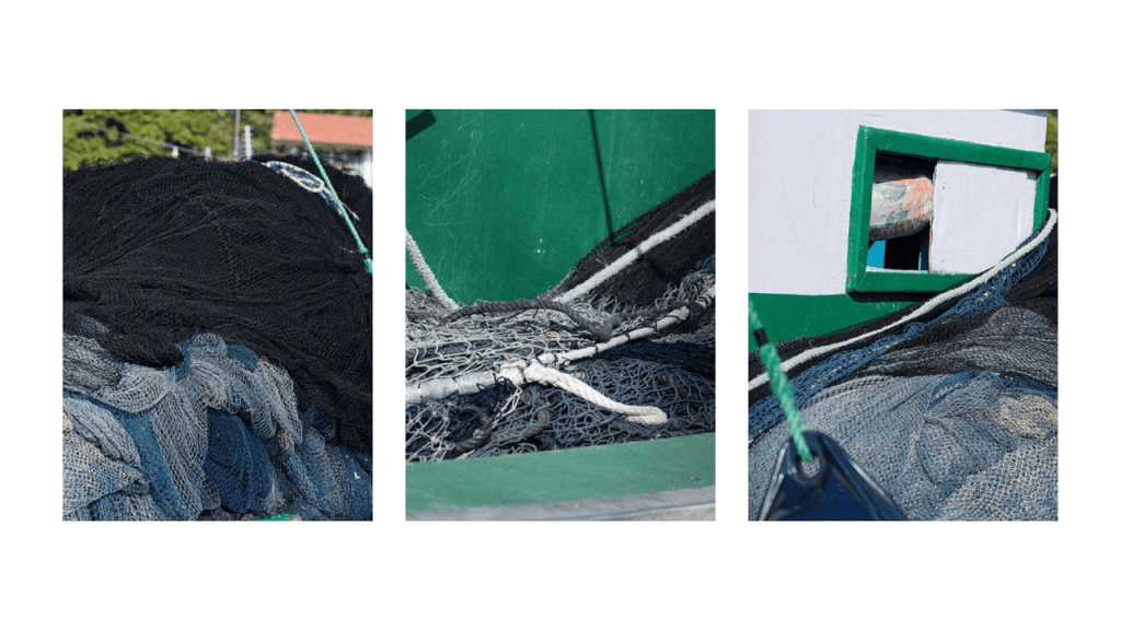 Obra de Moacir Nicodemos Marte