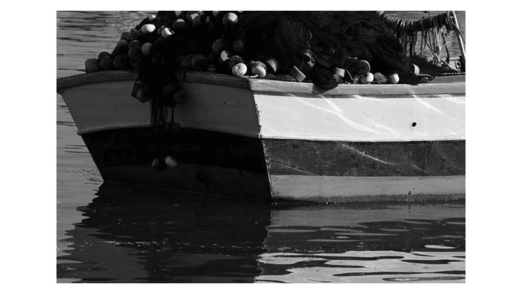 Obra de Moacir Nicodemos Marte