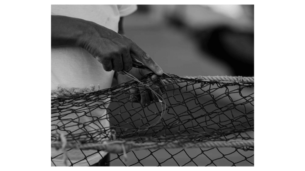 Obra de Moacir Nicodemos Marte