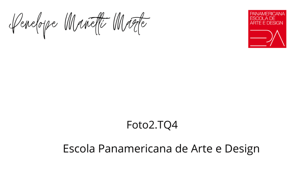 Obra de Penelope Fogaça Manetti Marte