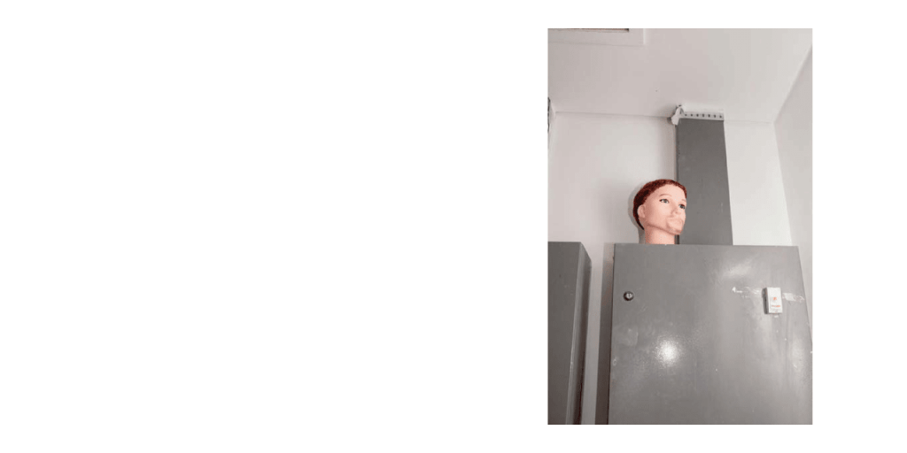 Obra de Washington Costa Leite