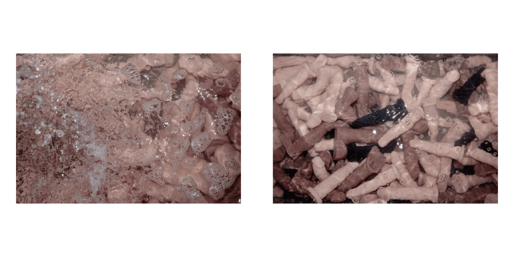 Obra de Washington Costa Leite