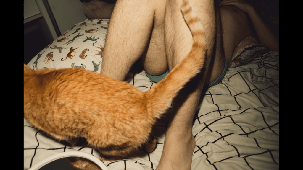 Obra de Washington Costa Leite