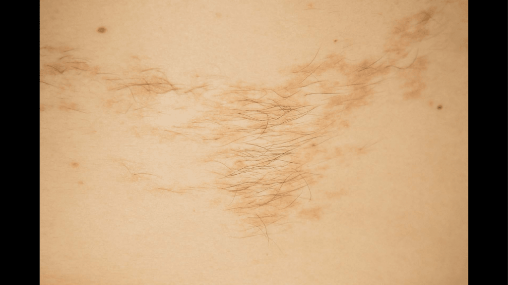 Obra de Washington Costa Leite