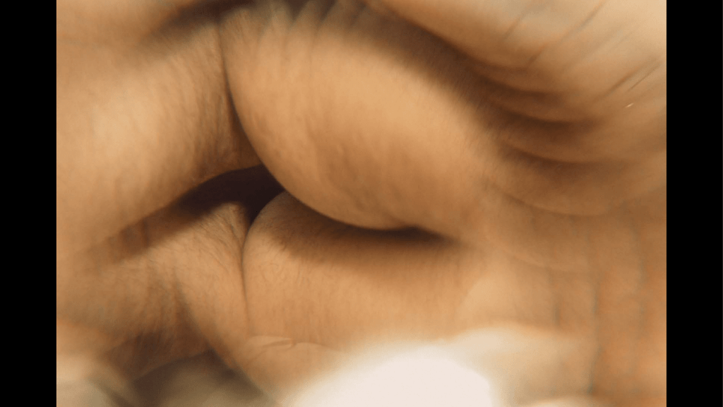 Obra de Washington Costa Leite