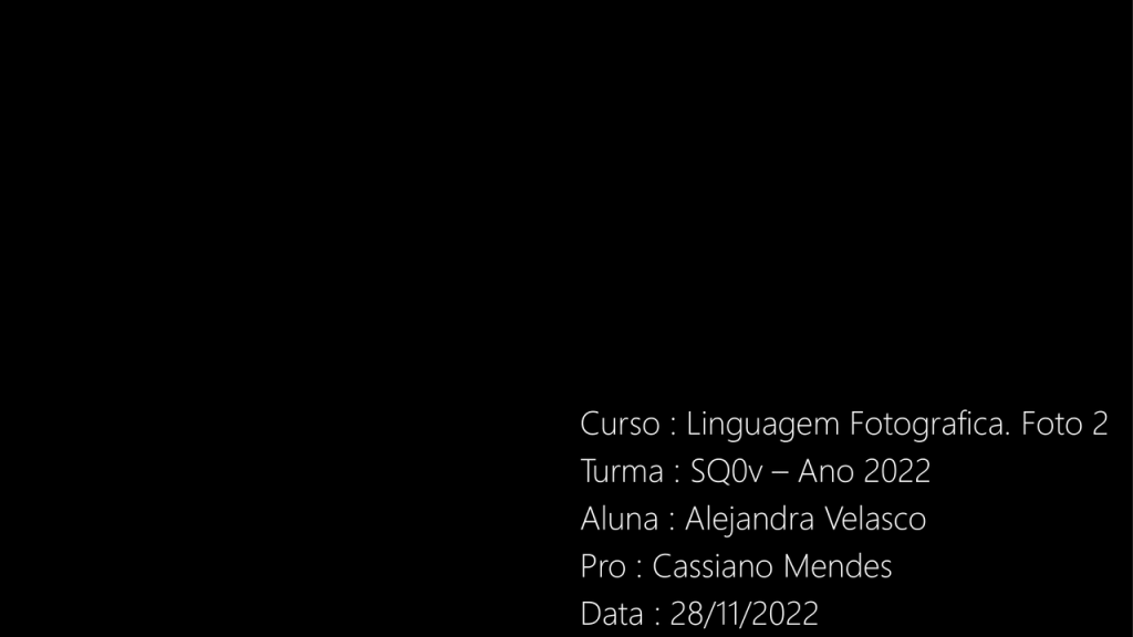 Obra de Alejandra Velasco Cortes