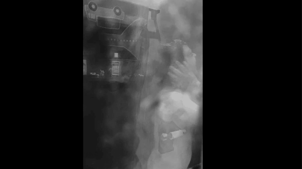 Obra de Alejandra Velasco Cortes