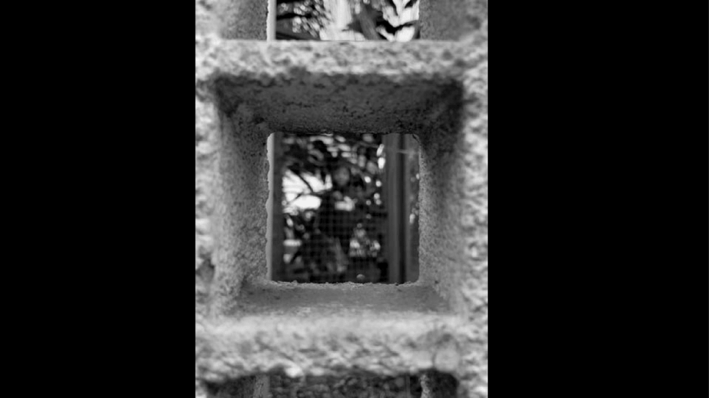 Obra de Alejandra Velasco Cortes