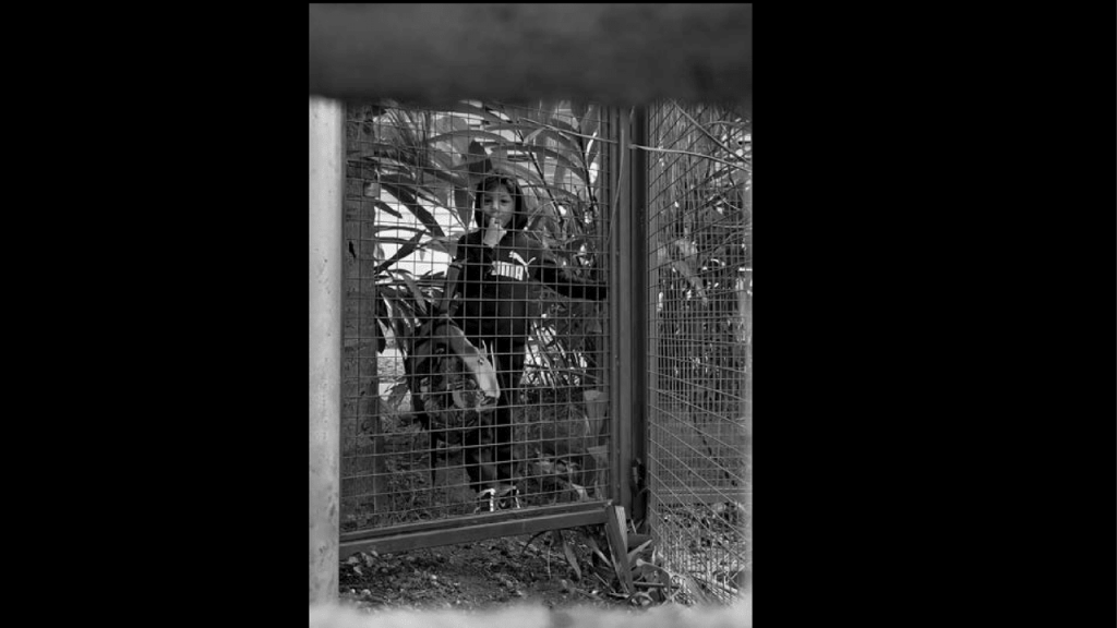 Obra de Alejandra Velasco Cortes