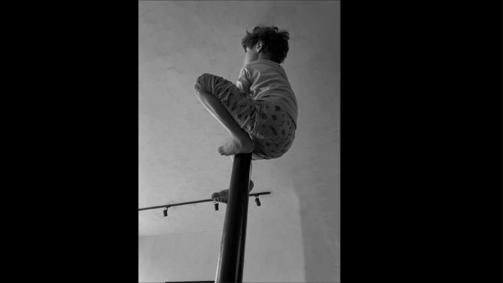 Obra de Alejandra Velasco Cortes