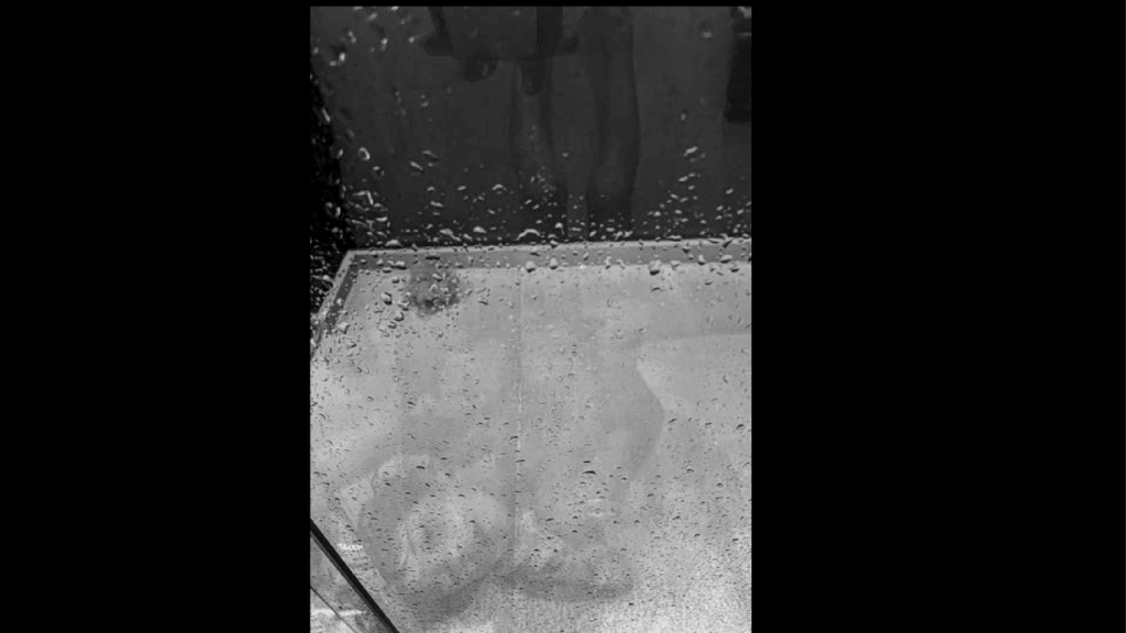 Obra de Alejandra Velasco Cortes