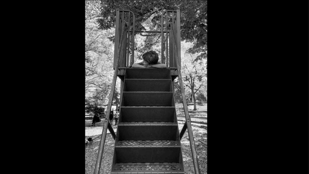 Obra de Alejandra Velasco Cortes