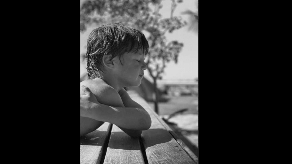 Obra de Alejandra Velasco Cortes