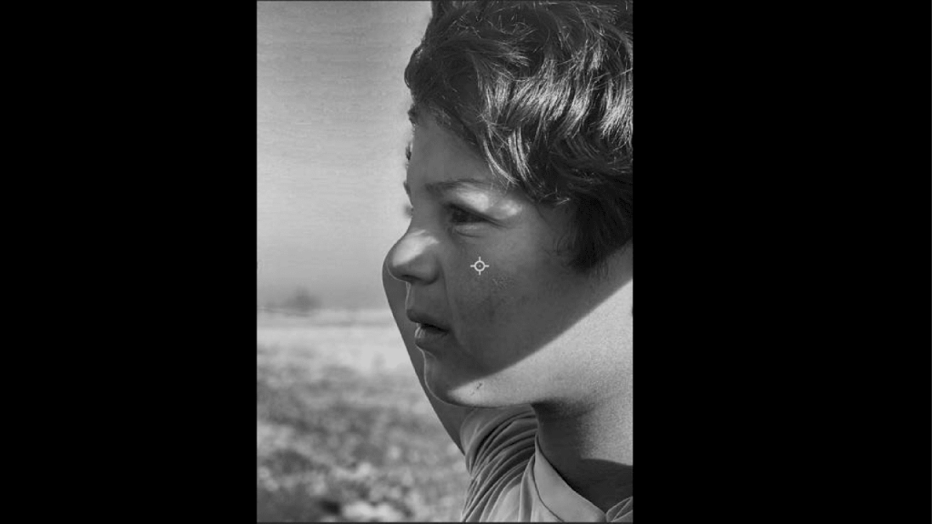 Obra de Alejandra Velasco Cortes