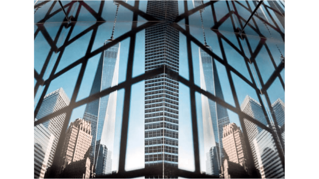 Obra de Alejandra Velasco Cortes