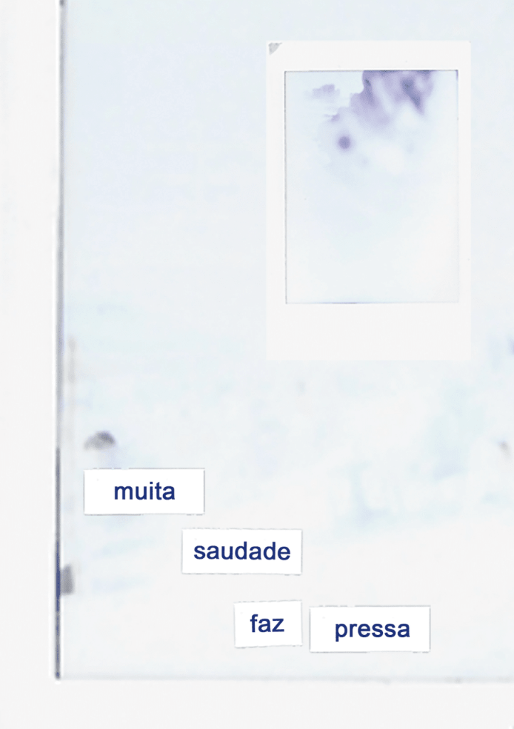 Obra de Ana Clara Franco Guimarães Pinto 
