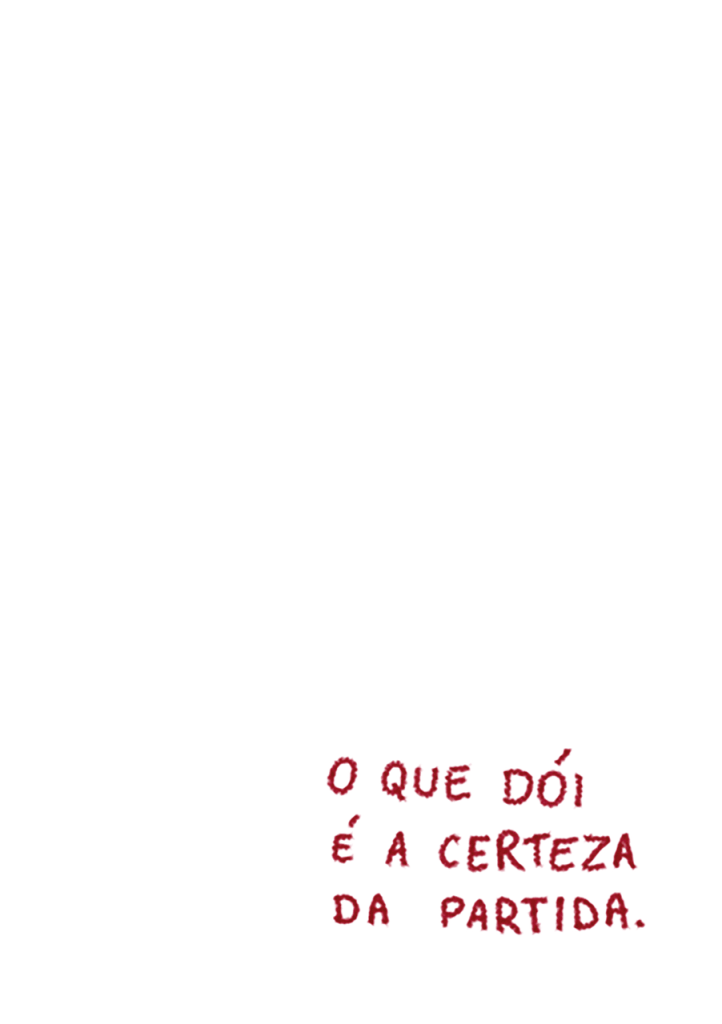 Obra de Ana Clara Franco Guimarães Pinto 