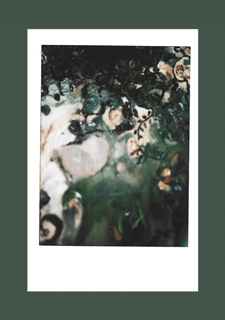 Obra de Ana Clara Franco Guimarães Pinto 