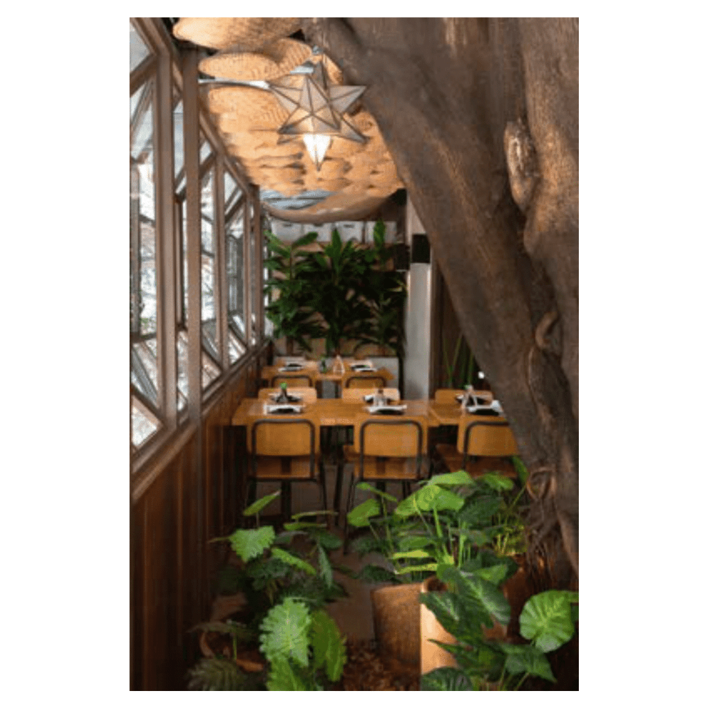 Obra de Ana Lomba de Carvalho Seixas