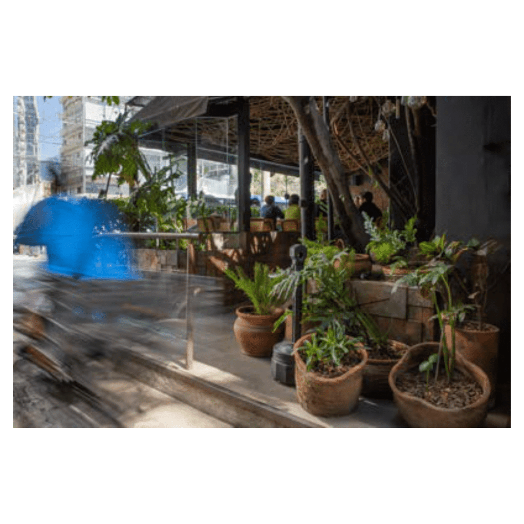 Obra de Ana Lomba de Carvalho Seixas